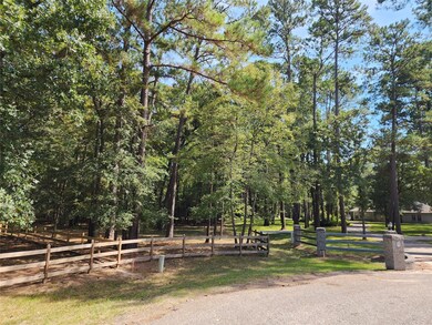 107 Sundew Ct, Magnolia, TX 77355 - photo 3