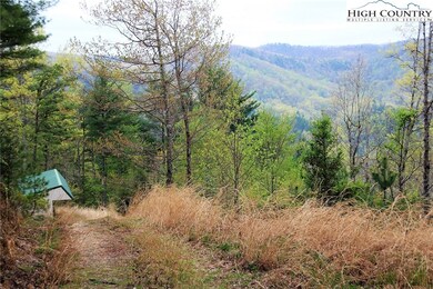 65 W Ridge Dr, Ferguson, NC 28624 - photo 3