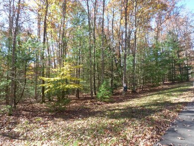 105 Saddlebrook Ln unit 30, Daniels, WV 25832 - photo 3