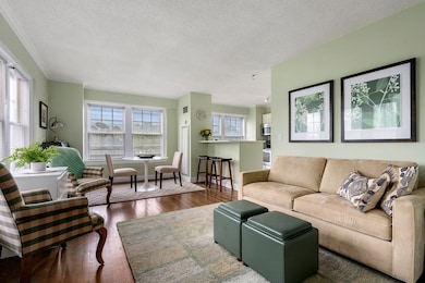 The Charlesview unit 307, Boston, MA 02215 - photo 2