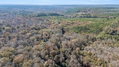 0000 Iron Bridge Rd, Sulligent, AL 35586 - photo 4