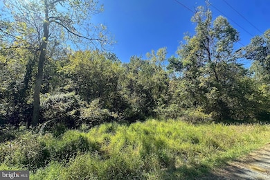 Lots 3 & 4 Shale Pit Dr, Falling Waters, WV 25419 - photo 7