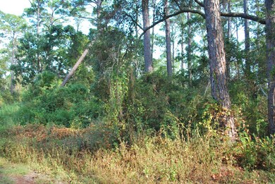 2976 Pristine Dr, Carrabelle, FL 32322 - photo 4