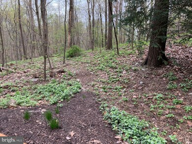 640 Buckhorn Rd, Sykesville, MD 21784 - photo 3