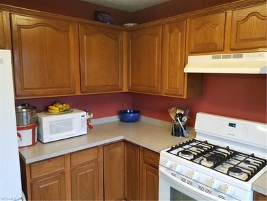 116 Reserve Ave, Oberlin, OH 44074 - photo 3