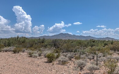 Amazing Views