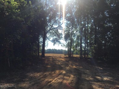Land pic 2