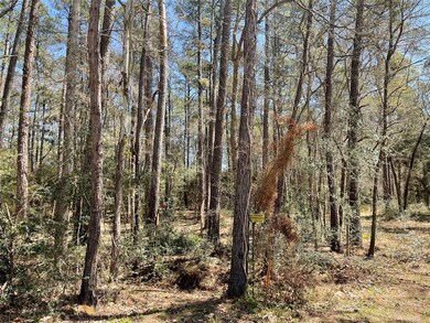 TBD2 Dan Cir, Magnolia, TX 77355 - photo 5