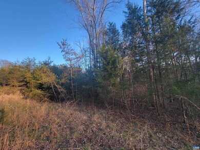 0 Marchia Ln unit 31C 645648, Charlottesville, VA 22902 - photo 5