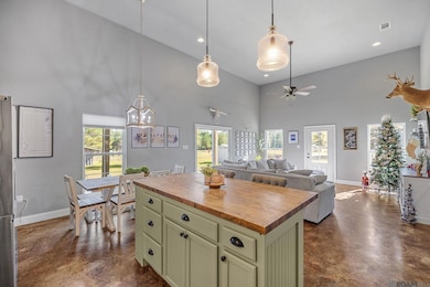 32028 N Doyle Rd, Holden, LA 70744 - photo 6