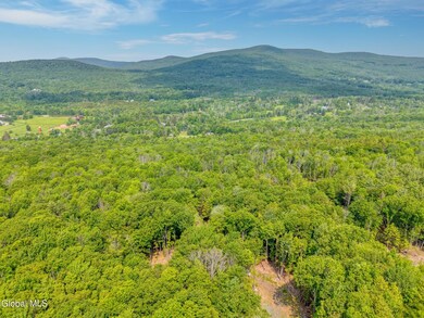 TBD Boulder Brook Rd unit Lot 14, Windham, NY 12496 - photo 7