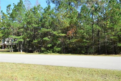 0 Sky Forest Cir unit 81641979, Magnolia, TX 77355 - photo 6