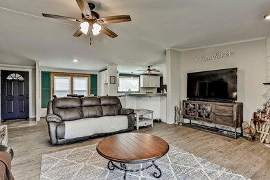 452 Big Salty Dr, Springtown, TX 76082 - photo 4