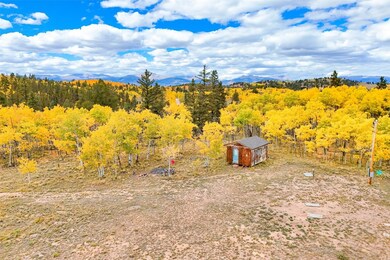 4019 Buffalo Ridge Rd, Como, CO 80456 - photo 5