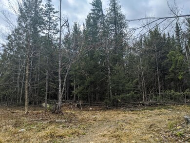 0 State Park Rd unit 1490059, Dover-Foxcroft, ME 04426 - photo 3