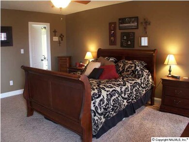 Isolated master bedroom with carpet and ceiling fan.