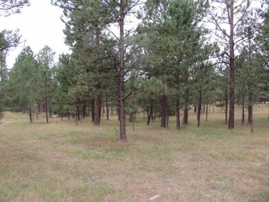TBD Lot 34B Hombre Trail unit TBD Lot 34B, Crazy Horse, SD 57730 - photo 6