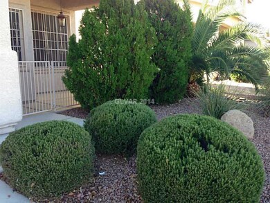 Yard/Garden.