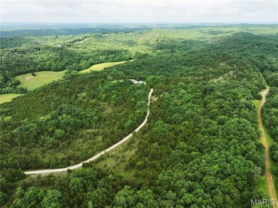 Rd, Festus, MO 63028 - photo 6