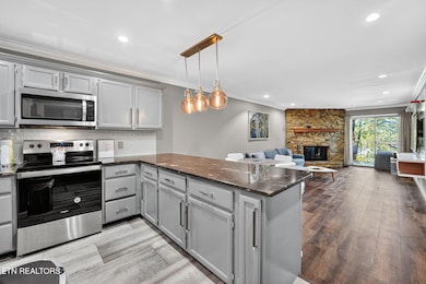 3621 Householder St unit 1, Pigeon Forge, TN 37863 - photo 4