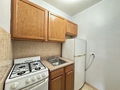 434 W Wellington Ave unit 207, Chicago, IL 60657 - photo 4