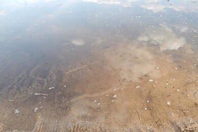 Sandy Lake Bottom