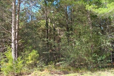 5 Wooded Acres