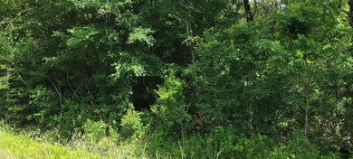 18270 E River Rd, Conroe, TX 77302 - photo 4