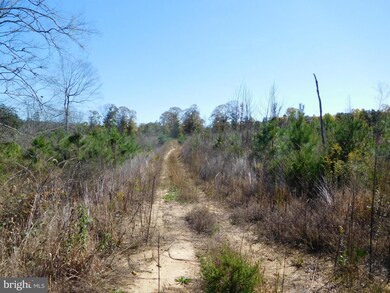 0 Tommy Trail unit 1000546207, Louisa, VA 23093 - photo 4