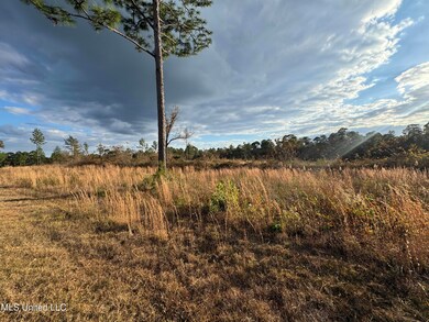 0 Matthew Johnson Rd, Wiggins, MS 39577 - photo 5