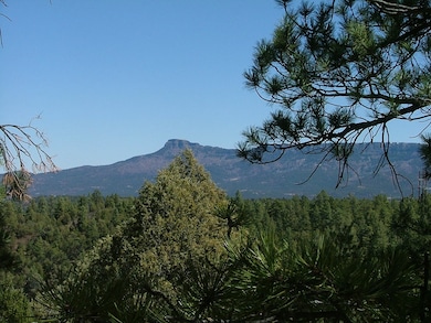 28 Puma Ct unit H13, Trinidad, CO - photo 3