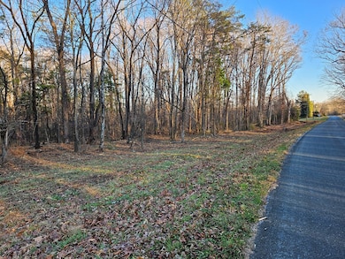0 Physic Spring Rd, Dillwyn, VA 23936 - photo 2