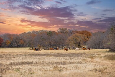 Nature at dusk with a rural view