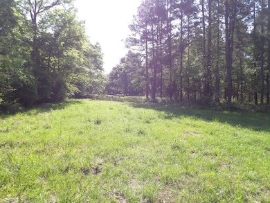 191 Fm 587, Kennard, TX 75847 - photo 7