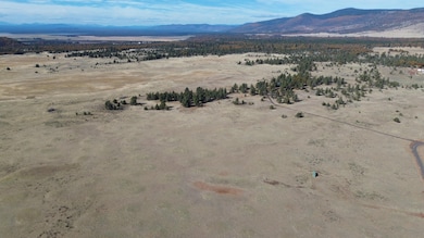 644-881 Sunset Ln, McArthur, CA 96056 - photo 5