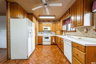 145 Portland Place, Lincoln, IL 62656 - photo 5