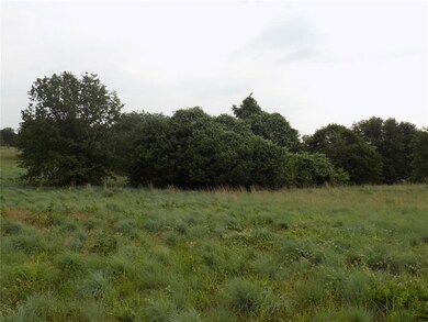 450 Big Salty Dr, Springtown, TX 76082 - photo 3