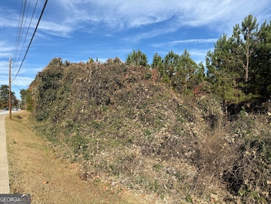 8626 Webb Rd, Riverdale, GA 30274 - photo 3