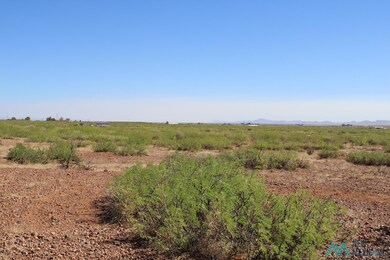 0 Saguaro Rd SE unit 20223081, Deming, NM 88030 - photo 5