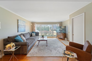 Living Room with a View