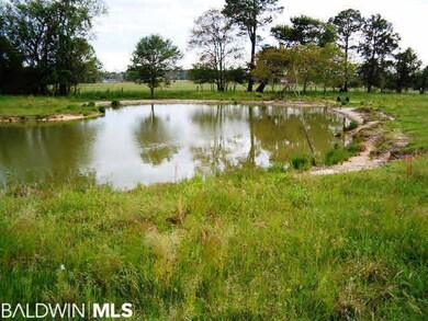 Spring Fed Pond for Watering or Wild Life