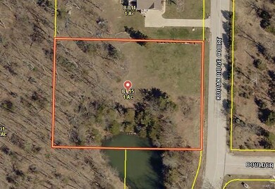 Aerial depicting access to small pond at the edge 