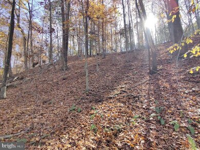 0 Reserved Parcels unit MDAA2083896, Annapolis, MD 21401 - photo 4