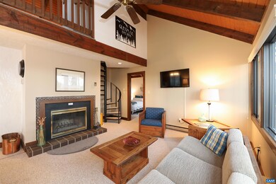 10 Squirrel Tree Ln, Wintergreen Resort, VA 22967 - photo 7