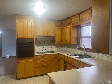 427 State Highway Af, Dexter, MO 63841 - photo 3