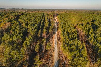 0 Sand Hill Rd unit 11389907, Brandon, MS 39047 - photo 3