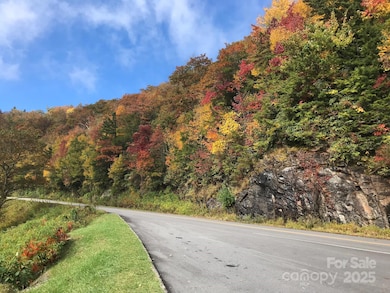 Blue Ridge Pkwy nearby