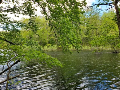 0 50th unit 20019251, Bitely, MI 49309 - photo 6