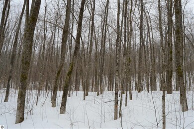 1556 S Magee Rd, Vanderbilt, MI 49795 - photo 4