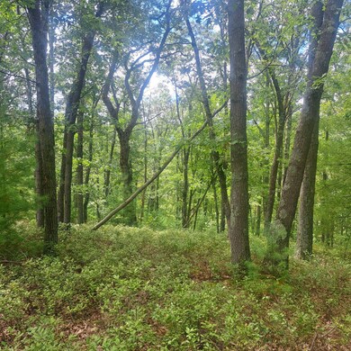 297 Big Bridge Hollow Rd, Little Marsh, PA 16950 - photo 4